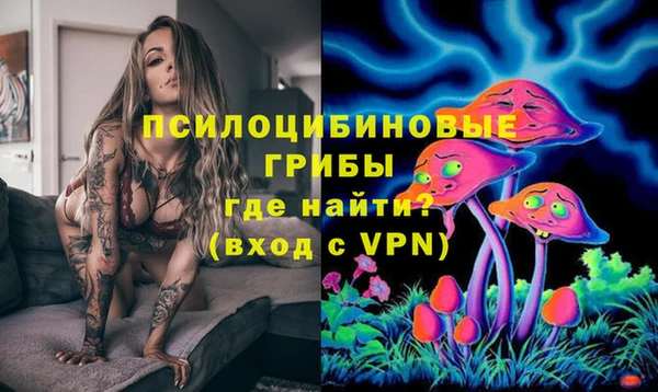 2c-b Армянск