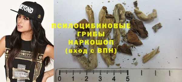 MESCALINE Аркадак