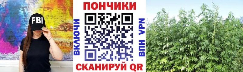 Купить где  Валуйки  Каннабис ГИДРОПОН 